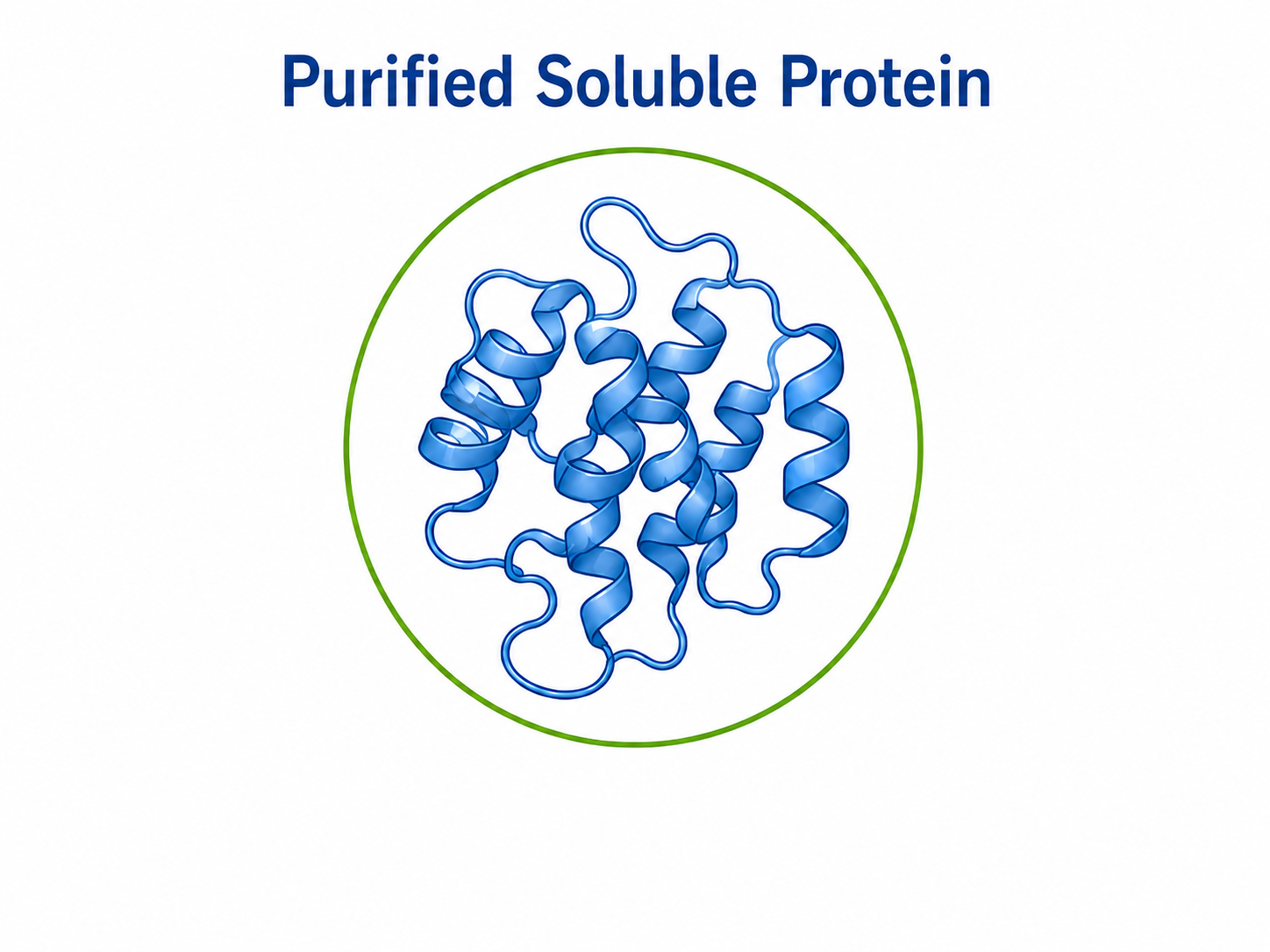 Soluble Protein Structure
